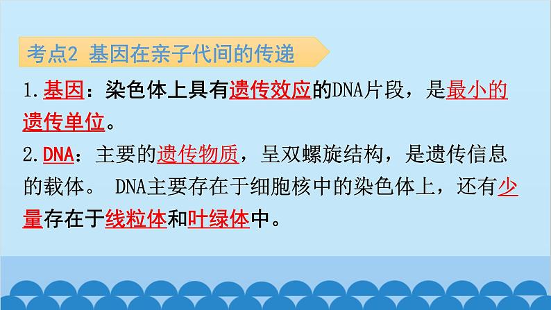 2024年中考生物复习 第七单元 生物圈中生命的延续和发展课件05