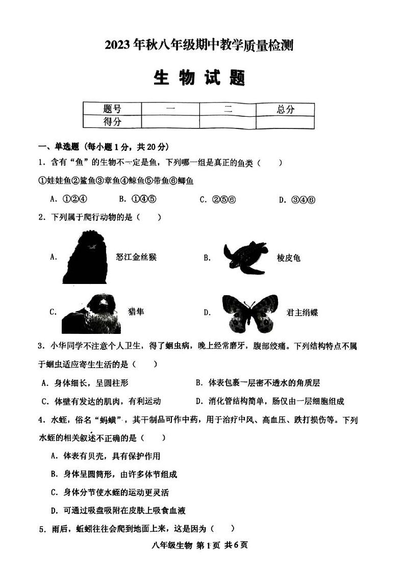 河南省驻马店市上蔡县2023-2024学年八年级上学期期中生物试题第1页