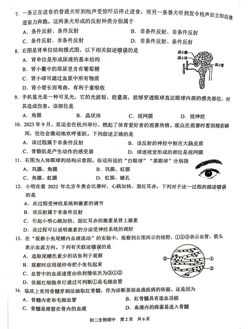 江苏省苏州市吴江区2023-2024学年八年级上学期期中生物试题第2页