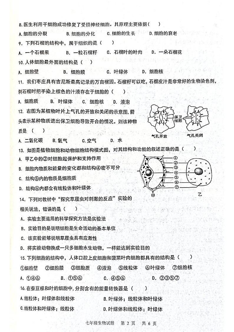 山东省枣庄市市中区2023-2024学年七年级上学期期中生物试题02