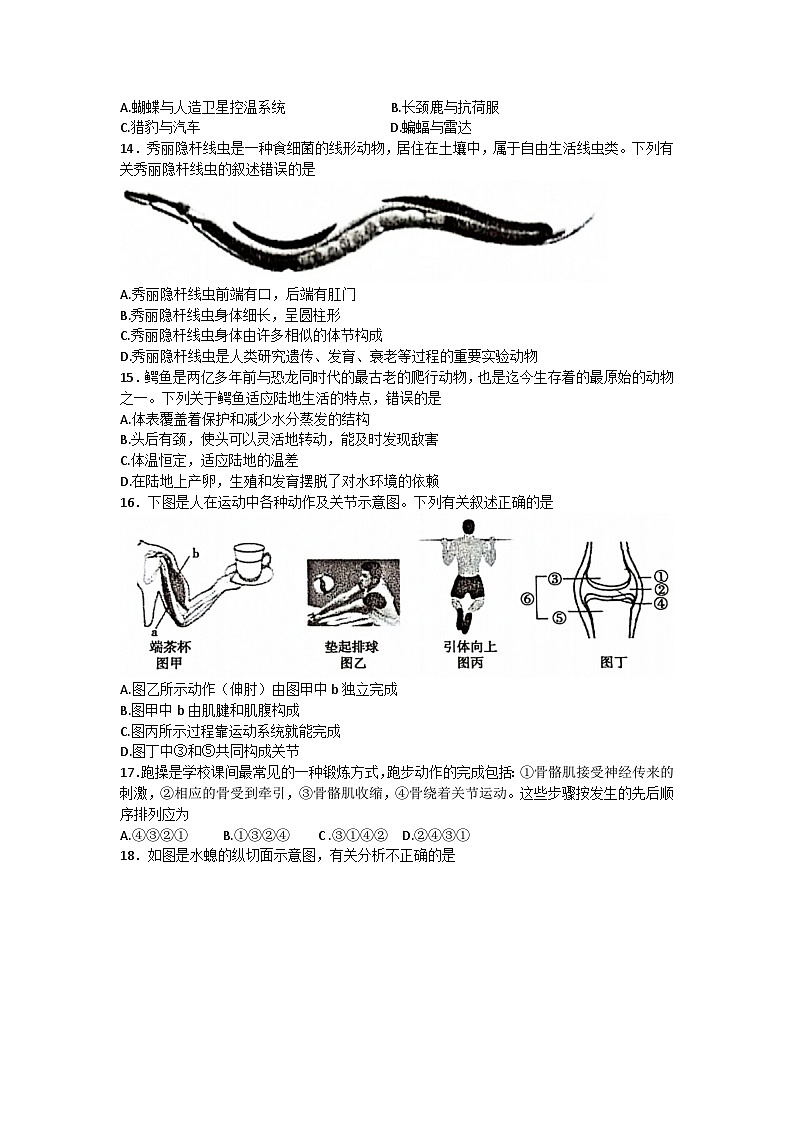 湖南省邵阳市新邵县2023-2024学年八年级上学期期中考试生物试题第3页