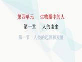 人教版七年级生物下册第一章第一节人类的起源和发展作业课件