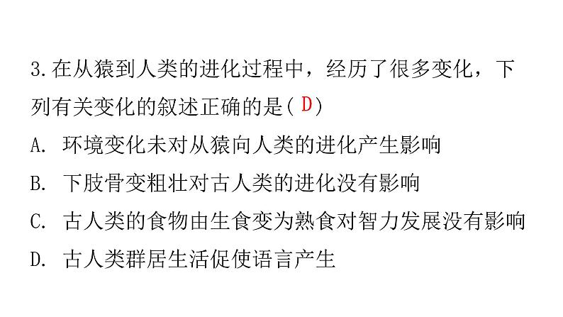 人教版七年级生物下册第一章第一节人类的起源和发展作业课件05