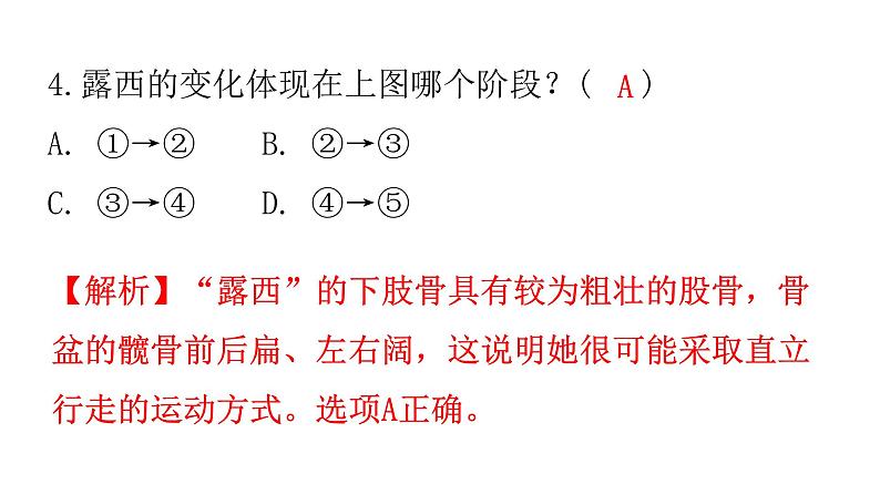 人教版七年级生物下册第一章第一节人类的起源和发展作业课件07