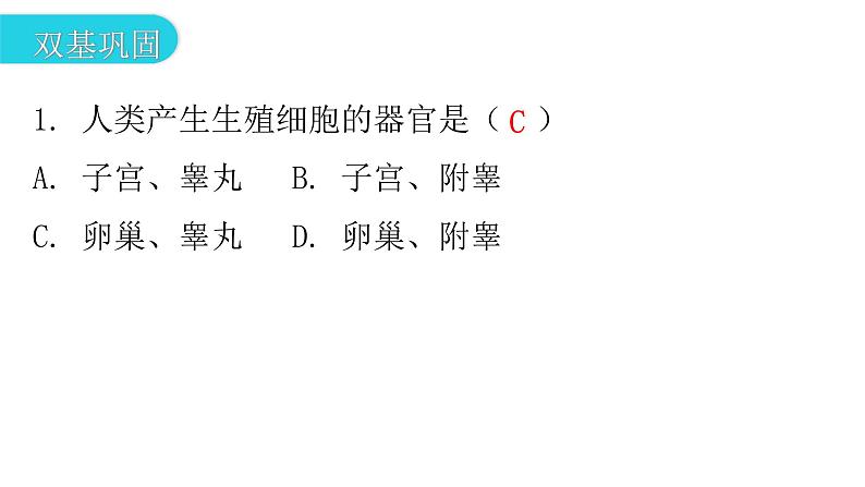 人教版七年级生物下册第一章第二节人的生殖作业课件第3页