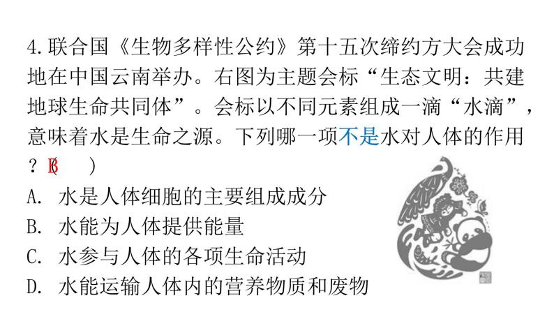 人教版七年级生物下册第二章第一节食物中的营养物质作业课件06