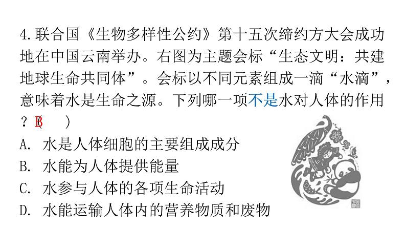 人教版七年级生物下册第二章第一节食物中的营养物质作业课件第6页