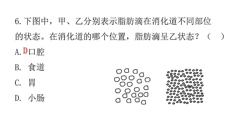 人教版七年级生物下册第二章第二节消化和吸收作业课件第8页