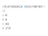 人教版七年级生物下册第三章第一节呼吸道对空气的处理作业课件