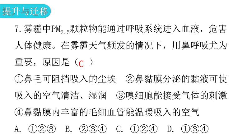 人教版七年级生物下册第三章第一节呼吸道对空气的处理作业课件第8页