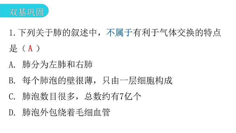 人教版七年级生物下册第三章第二节发生在肺内的气体交换作业课件第3页