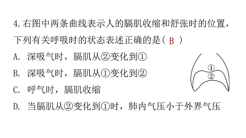 人教版七年级生物下册第三章第二节发生在肺内的气体交换作业课件第6页