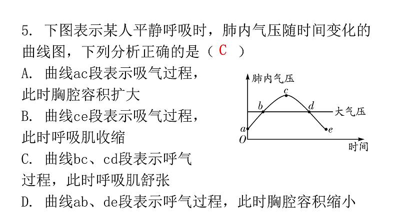 人教版七年级生物下册第三章第二节发生在肺内的气体交换作业课件第7页