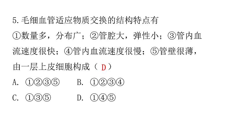 人教版七年级生物下册第四章第二节血流的管道——血管作业课件07