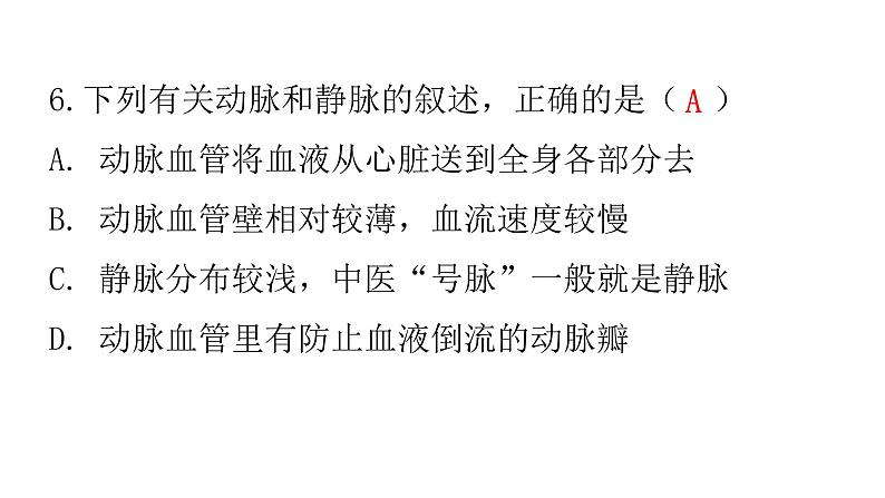 人教版七年级生物下册第四章第二节血流的管道——血管作业课件08