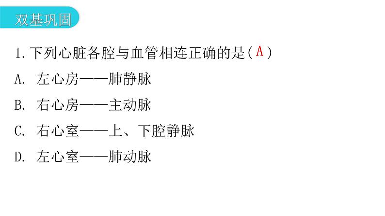 人教版七年级生物下册第四章第三节输送血液的泵——心脏作业课件03