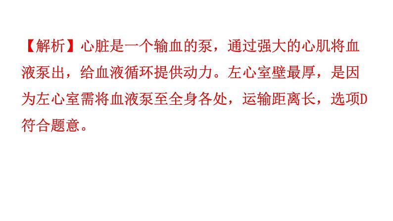 人教版七年级生物下册第四章第三节输送血液的泵——心脏作业课件06