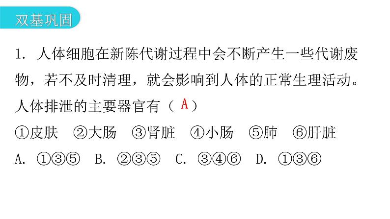 人教版七年级生物下册第五章人体内废物的排出作业课件03