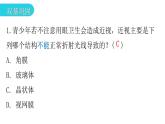 人教版七年级生物下册第六章第一节人体对外界环境的感知作业课件