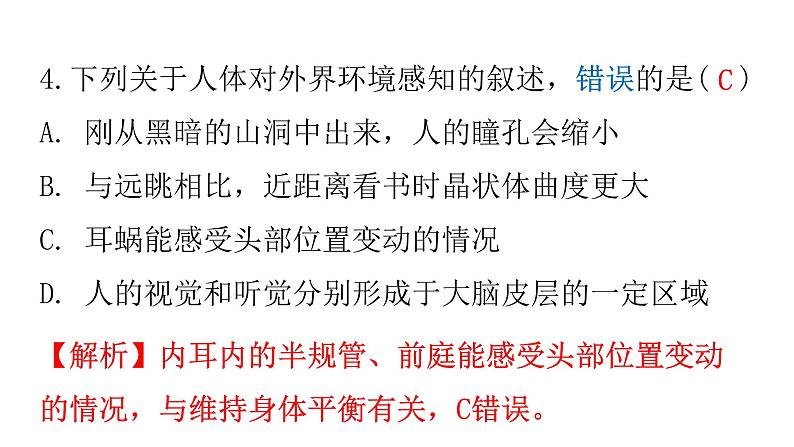 人教版七年级生物下册第六章第一节人体对外界环境的感知作业课件06