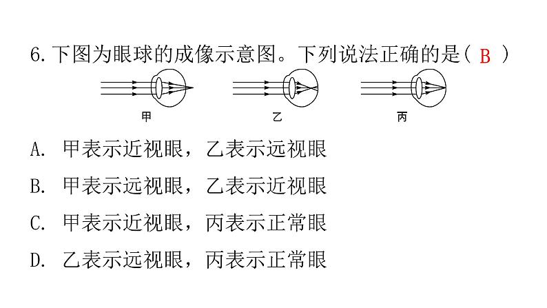 人教版七年级生物下册第六章第一节人体对外界环境的感知作业课件08