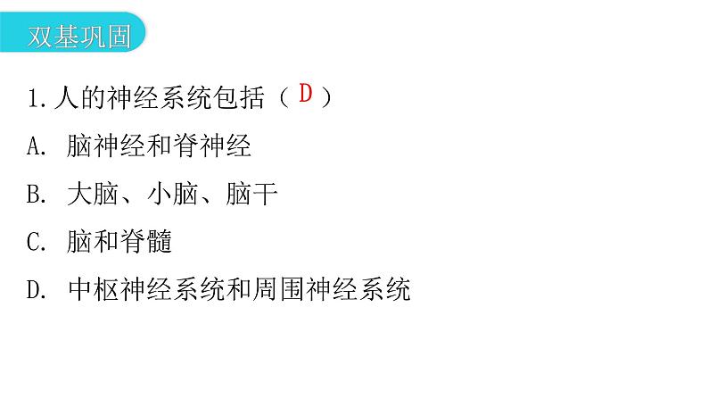 人教版七年级生物下册第六章第二节神经系统的组成作业课件03