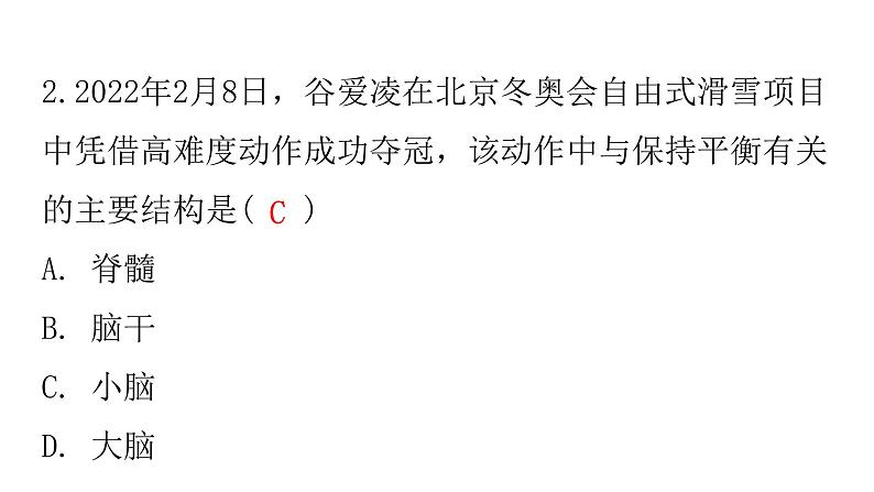 人教版七年级生物下册第六章第二节神经系统的组成作业课件04