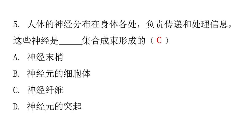 人教版七年级生物下册第六章第二节神经系统的组成作业课件07