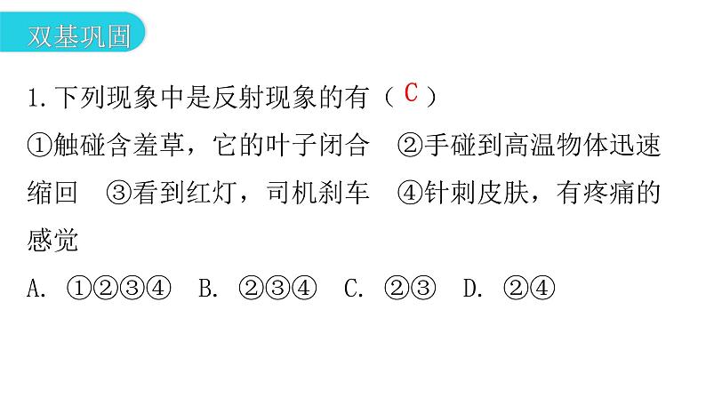 人教版七年级生物下册第六章第三节神经调节的基本方式作业课件第3页