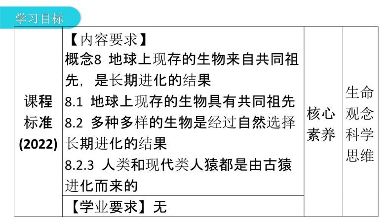 人教版七年级生物下册第一章第一节人类的起源和发展课件03