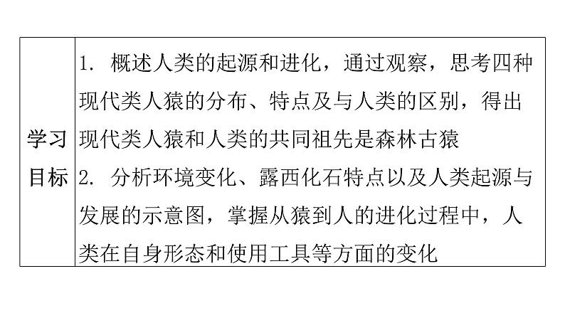 人教版七年级生物下册第一章第一节人类的起源和发展课件04