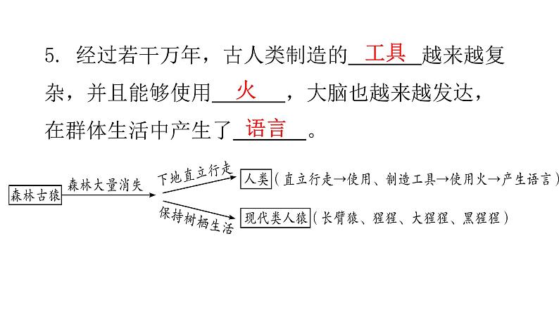 人教版七年级生物下册第一章第一节人类的起源和发展课件07