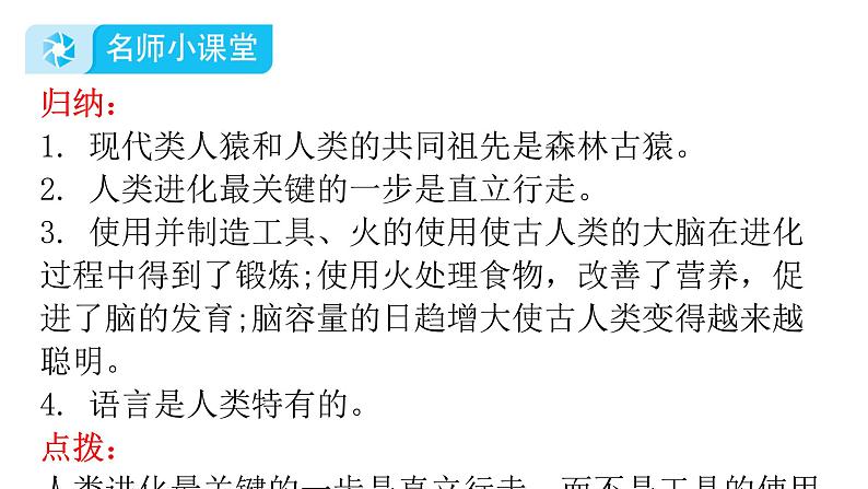 人教版七年级生物下册第一章第一节人类的起源和发展课件08