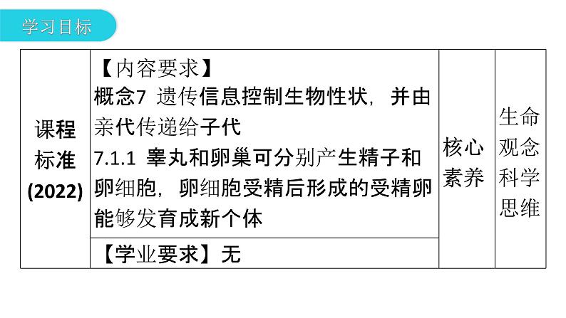 人教版七年级生物下册第一章第二节人的生殖课件03