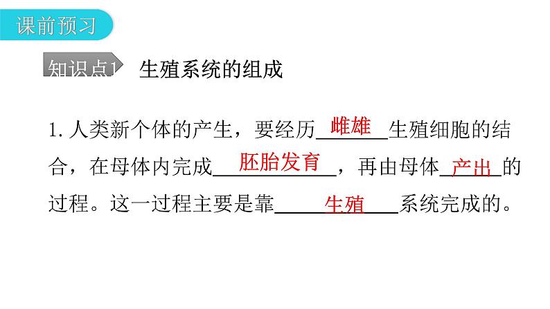 人教版七年级生物下册第一章第二节人的生殖课件第5页