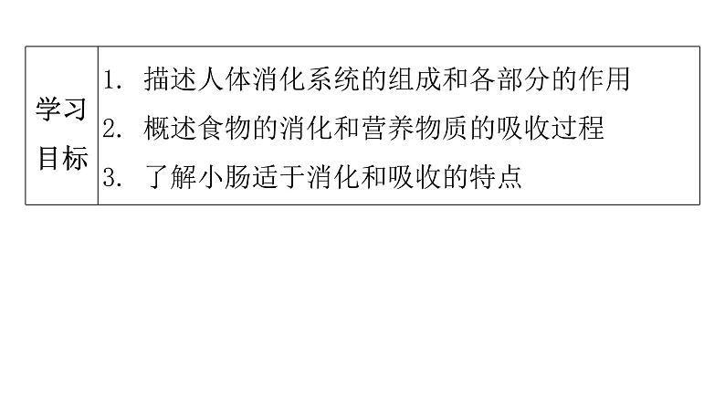 人教版七年级生物下册第二章第二节消化和吸收课件04