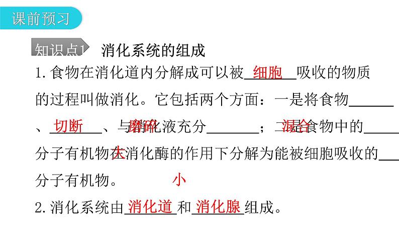 人教版七年级生物下册第二章第二节消化和吸收课件05