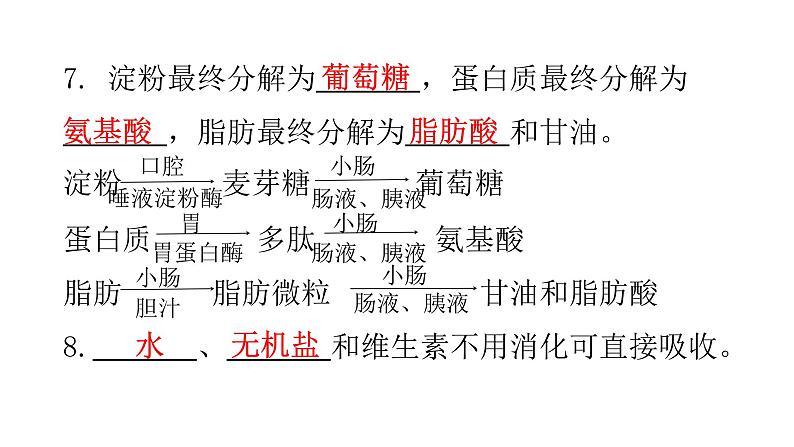 人教版七年级生物下册第二章第二节消化和吸收课件08