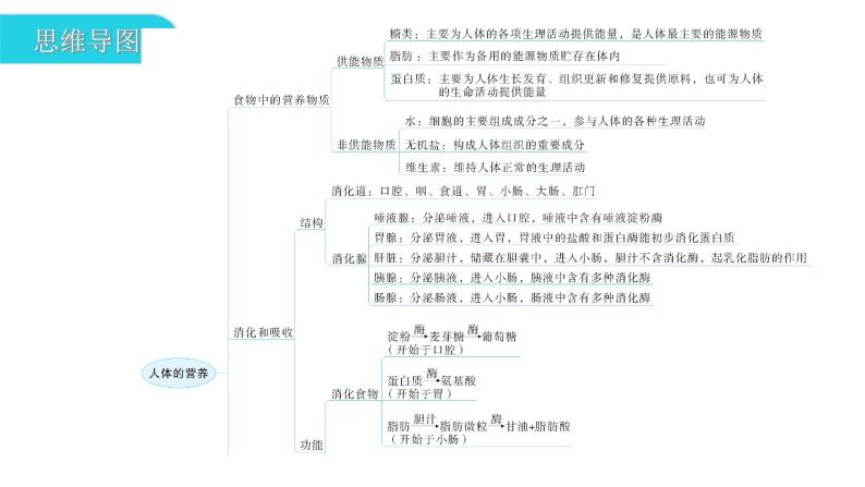 人教版七年级生物下册第二章第二章章末总结课件03