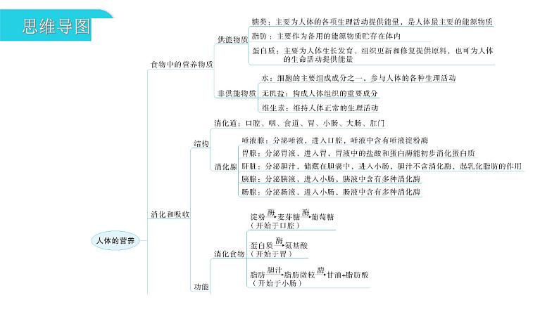 人教版七年级生物下册第二章第二章章末总结课件03