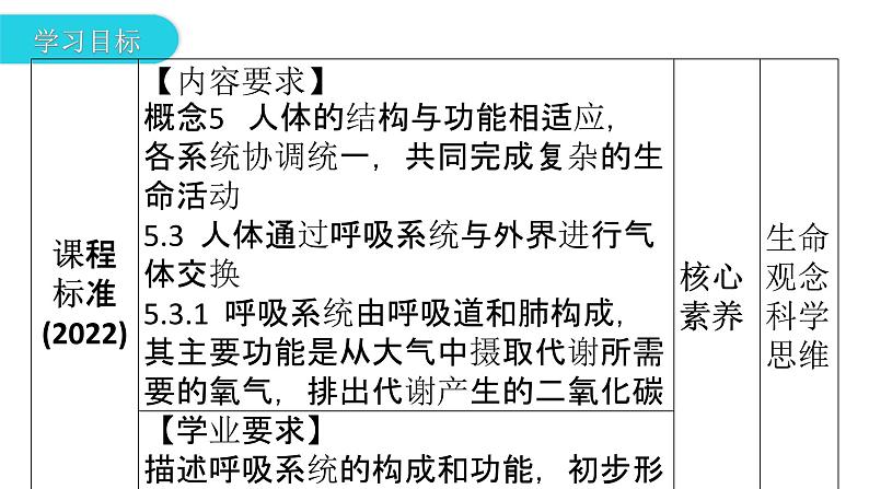 人教版七年级生物下册第三章第一节呼吸道对空气的处理课件第3页