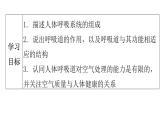 人教版七年级生物下册第三章第一节呼吸道对空气的处理课件