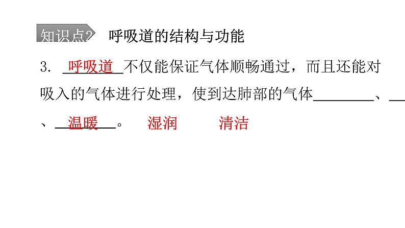 人教版七年级生物下册第三章第一节呼吸道对空气的处理课件第6页