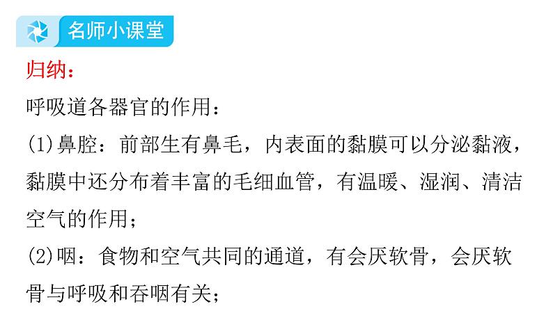 人教版七年级生物下册第三章第一节呼吸道对空气的处理课件第8页