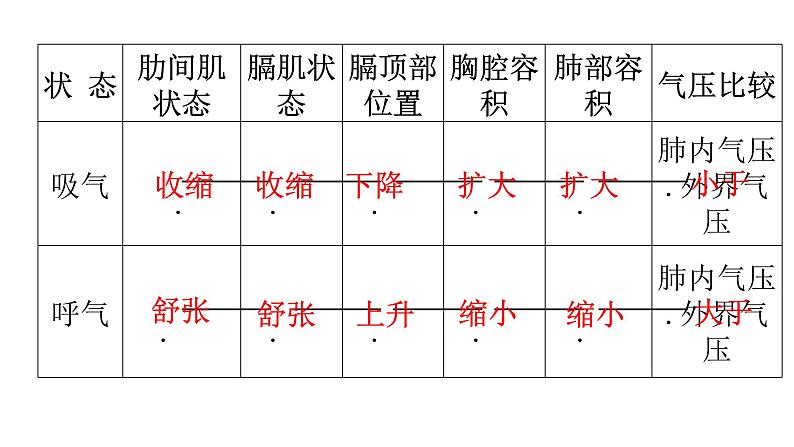 人教版七年级生物下册第三章第二节发生在肺内的气体交换课件第6页