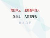 人教版七年级生物下册第三章章末总结课件