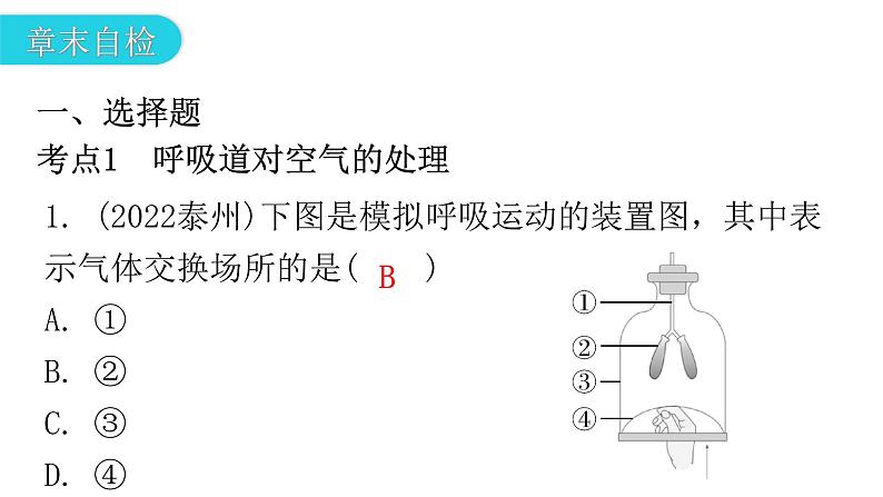 人教版七年级生物下册第三章章末总结课件04