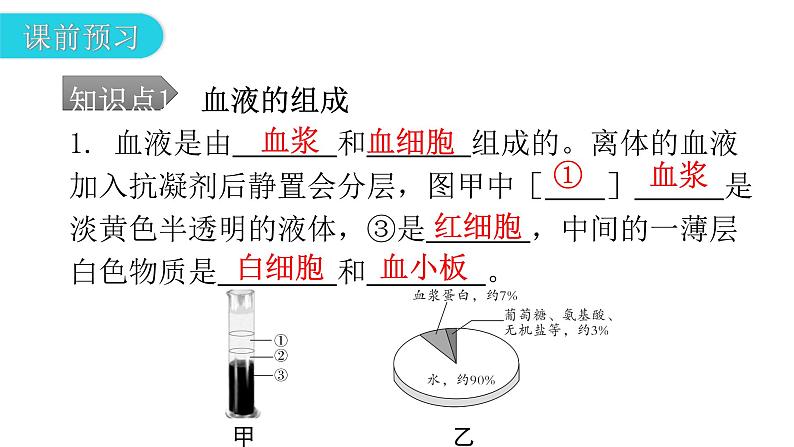 人教版七年级生物下册第四章第一节流动的组织——血液课件05