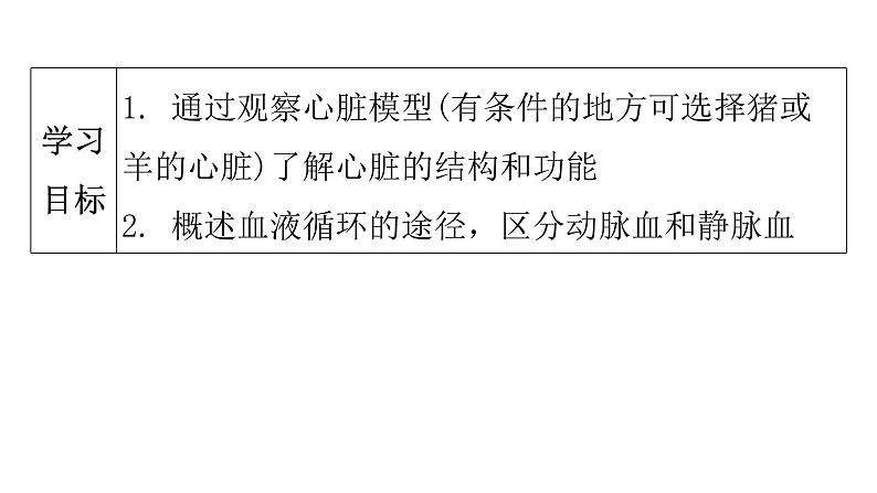 人教版七年级生物下册第四章第三节输送血液的泵——心脏课件第4页