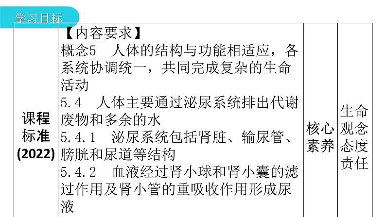 人教版七年级生物下册第五章人体内废物的排出课件03